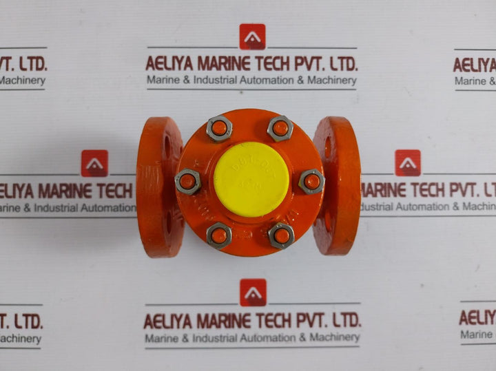 Control Valve H1F Clorius 32-m