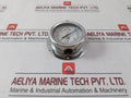 Cool Dynamic Ss-3072 Water Pressure Gauge 0-6 Bar 0-90 Psi