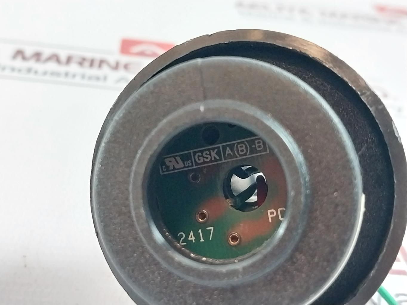 Crowcon 96Is Replacement Sensor E01231