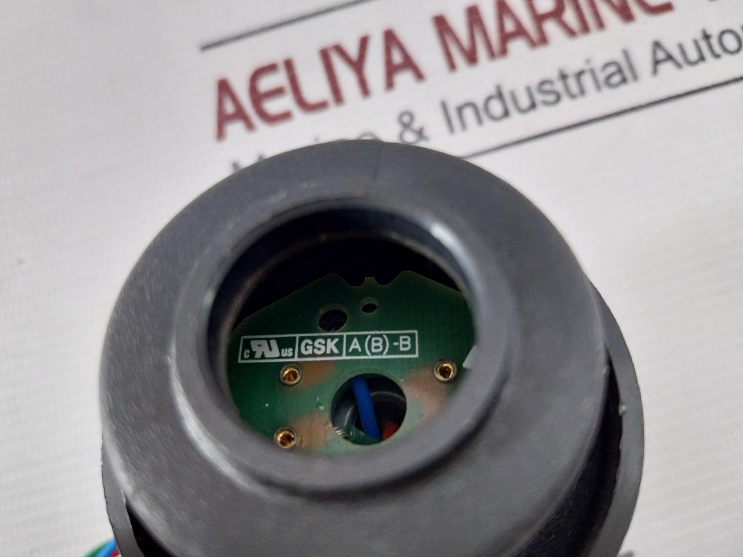 Crowcon E01446 Replacement Sensor