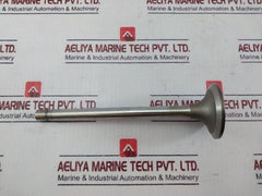Cummins 3052820 Insert Valve 3803518
