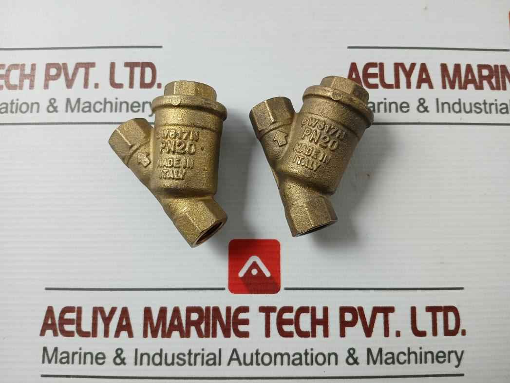 Cw617N Pn20 Strainer