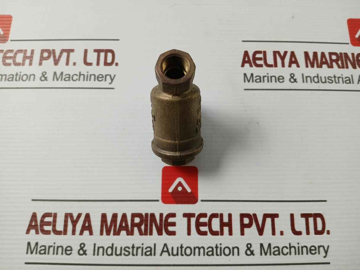 Cw617N Pn20 Strainer