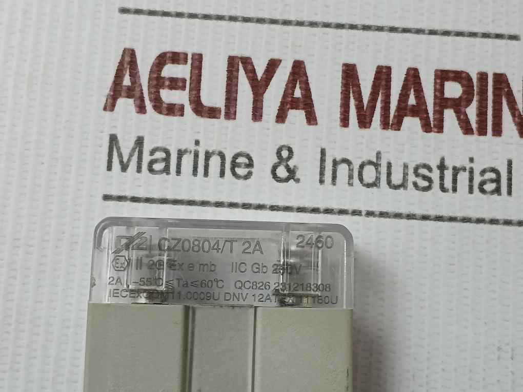 Cz Cz0804/T 2A Fuse Element Small Base 250V