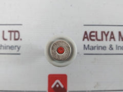 Lot of 5X D II 10A 500V Bottle Fuse