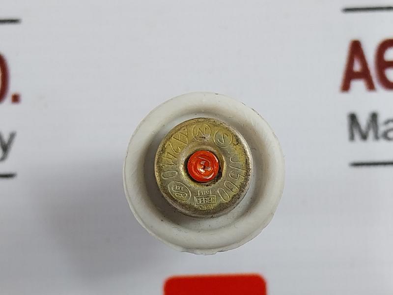 Lot of 5X  D II 10A 500V Fuse Link Bottle Fuse