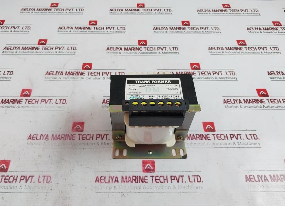 Dae Myong Electric Transformer 300 Va 50/60Hz