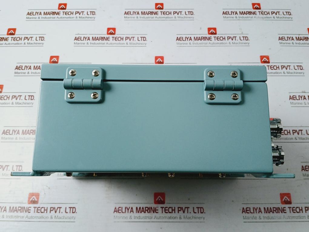 Dae Sung Yo-100D Salinity Indicator Ac 110V, 60 Hz 1Ha-000-48M