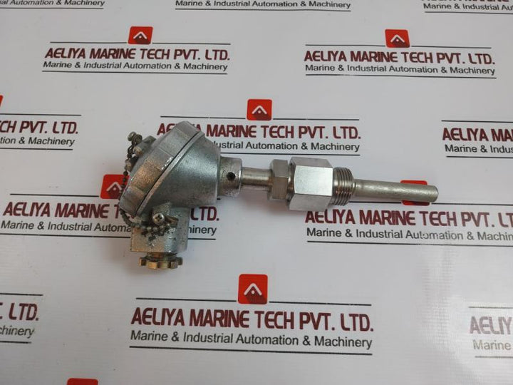 Dae Yang Ttr-ln Resistance Bulb Class B Pt 100?