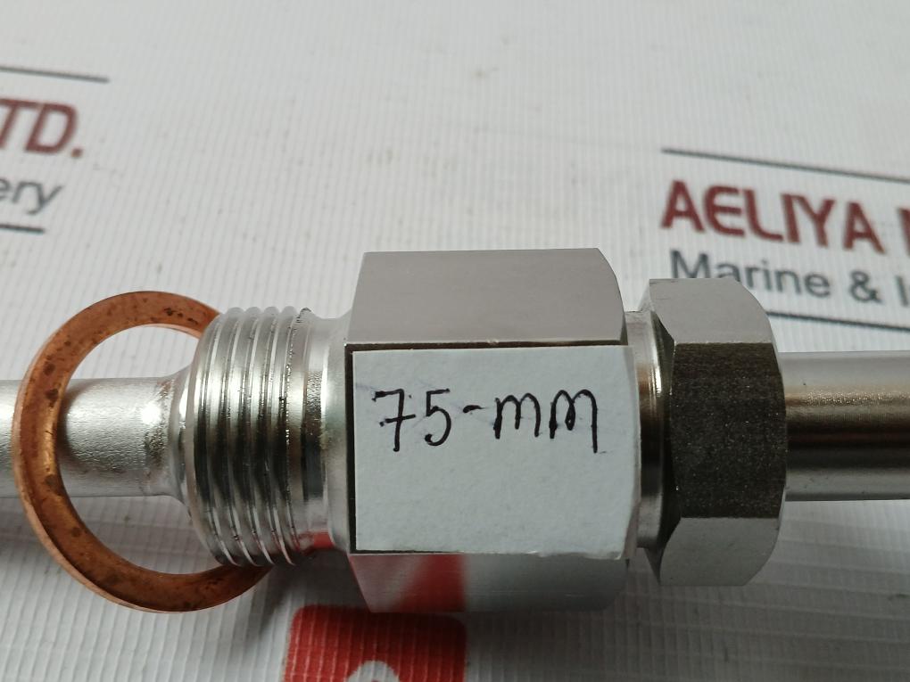 Daeyang Instrument Ttr-ln Resistance Bulb 75-mm Pt 100 Ω Class B