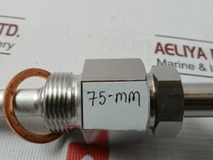 Daeyang Instrument Ttr-ln Resistance Bulb 75-mm Pt 100 Ω Class B