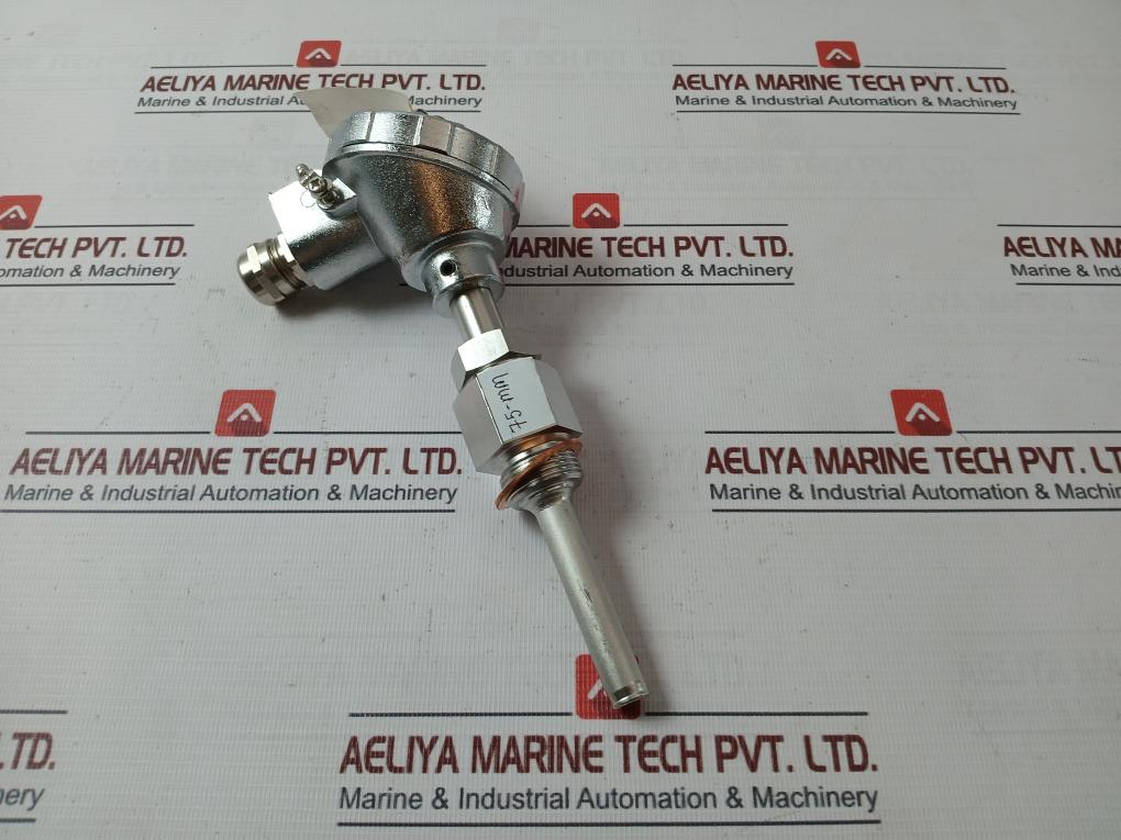 Daeyang Instrument Ttr-ln Resistance Bulb 75-mm Pt 100 Ω Class B