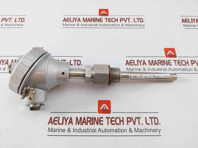 Daeyoung Resistance Temperature Detector Pt 100Ω Type S