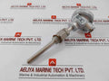 Daeyoung Resistance Temperature Detector Pt 100Ω Type S