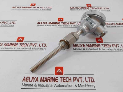 Daeyoung Resistance Temperature Detector Pt 100Ω Type S