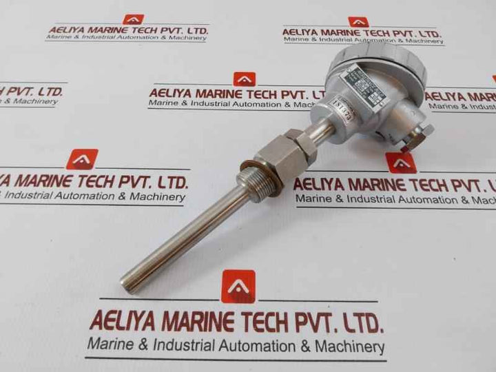 Daeyoung Resistance Temperature Detector Pt 100Ω Type S