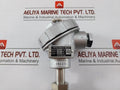 Daeyoung Resistance Temperature Detector Pt 100Ω Type S