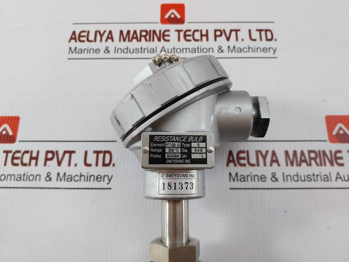 Daeyoung Resistance Temperature Detector Pt 100Ω Type S