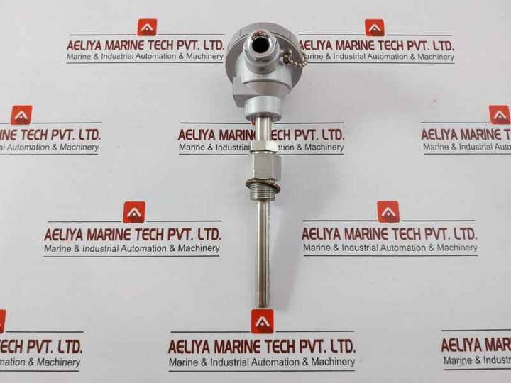 Daeyoung Resistance Temperature Detector Pt 100Ω Type S