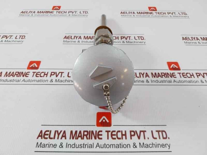 Daeyoung Resistance Temperature Detector Pt 100Ω Type S