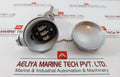 Daeyoung Resistance Temperature Detector Pt 100Ω Type S