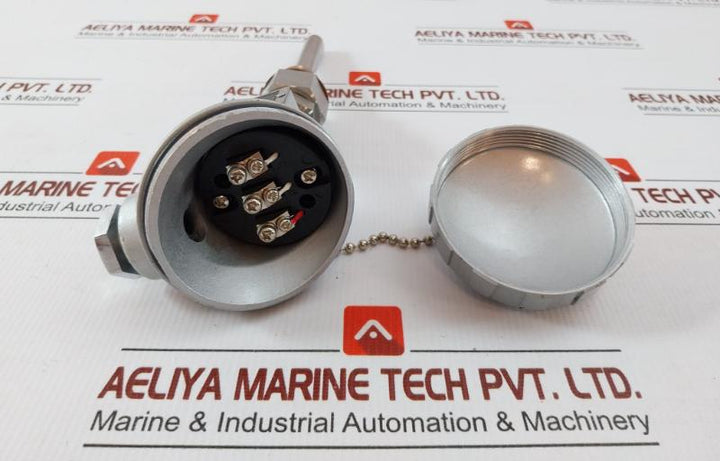 Daeyoung Resistance Temperature Detector Pt 100Ω Type S