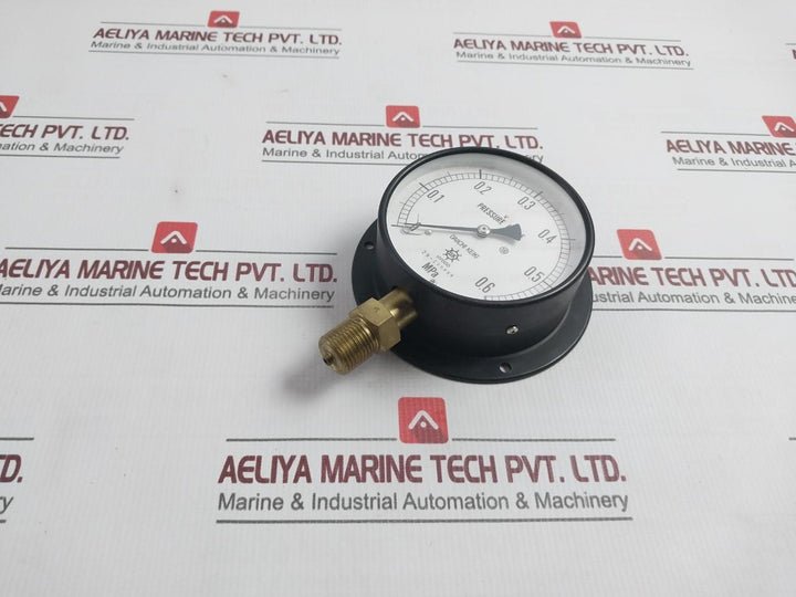 Daiichi Keiki Seisakusho 0-0.6 Mpa Pressure Gauge 7Rta84T 29-i 00698 100Mm