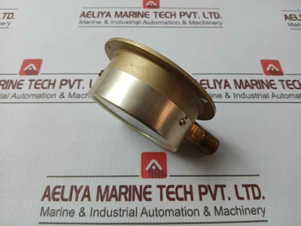 Daito Keiki Bu Pressure Gauge 3/8