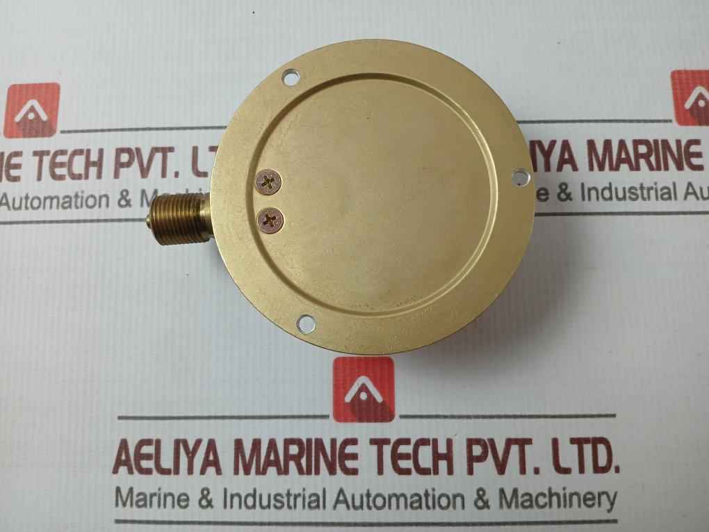 Daito Keiki Bu Pressure Gauge 3/8