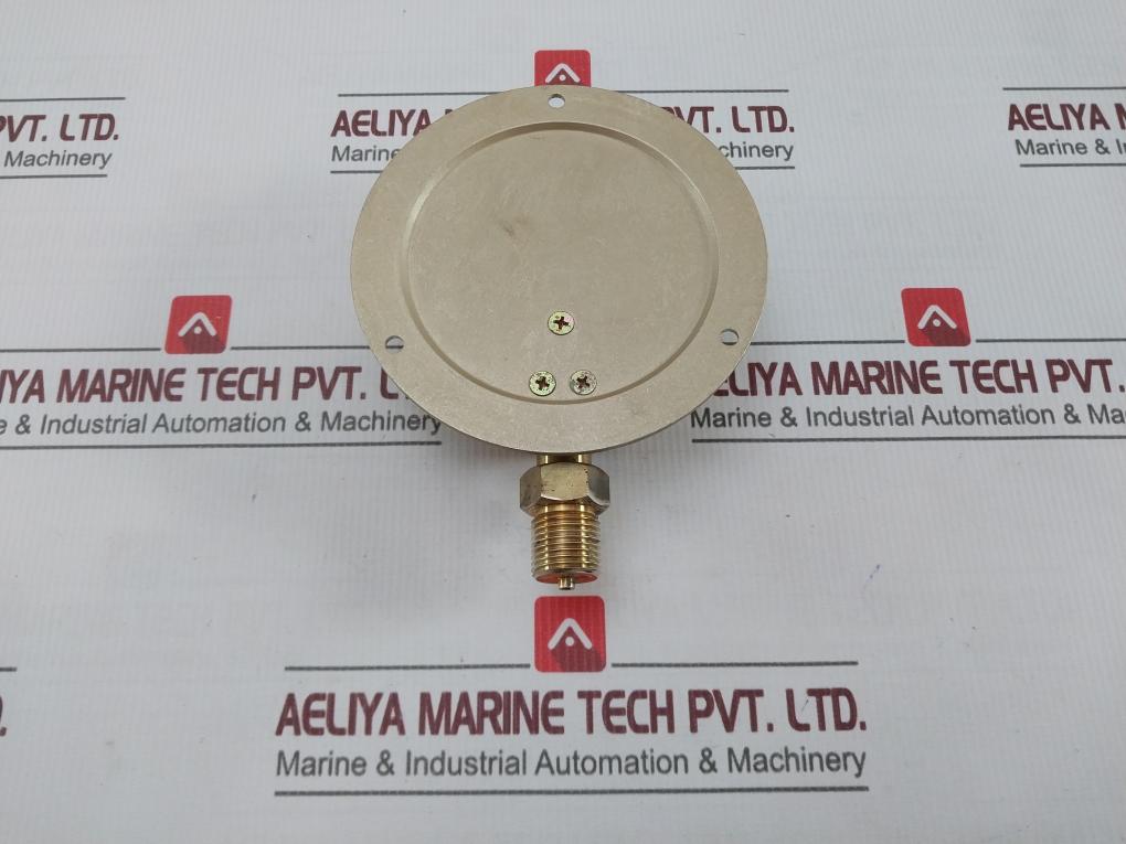 Daito Keiki Bs Pressure Gauge 0-0.6 Mpa 100Mm