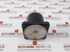 Daiyun Electronics W11-va Volt Indicator, 0-300V