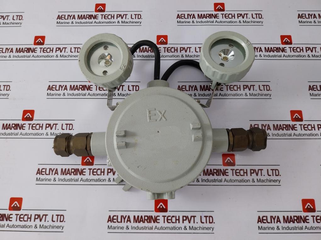 Dalian Marine Df220/12-2X20J Marine Ex-proof Emergency Lamp Ac110V