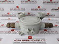 Dalian Marine Df220/12-2x20j Marine Ex-proof Emergency Lamp Ac110v