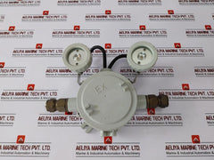 Dalian Marine Df220/12-2x20j Marine Ex-proof Emergency Lamp Ac110v