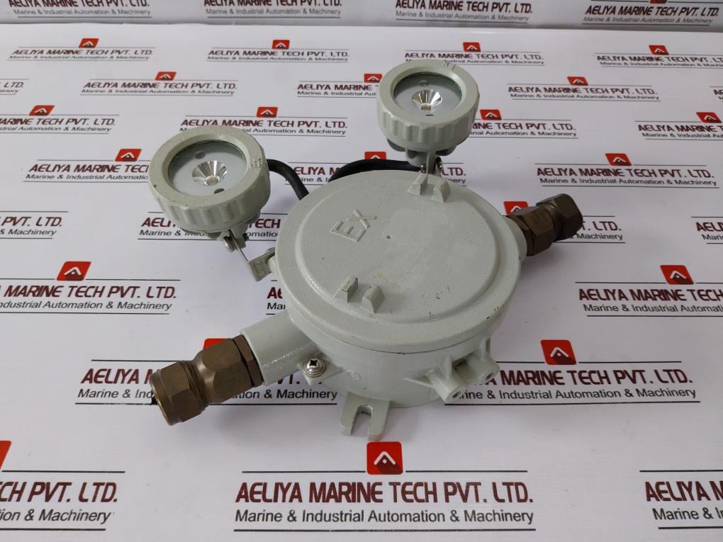 Dalian Marine Df220/12-2x20j Marine Ex-proof Emergency Lamp Ac110v