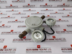 Dalian Marine Df220/12-2x20j Marine Ex-proof Emergency Lamp Ac110v