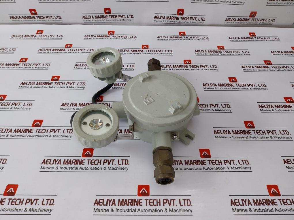 Dalian Marine Df220/12-2x20j Marine Ex-proof Emergency Lamp Ac110v