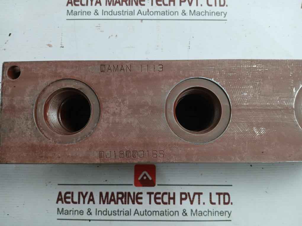 Daman Dj1800316S Hydraulic Valve Manifold 30198304 Rev 0 966173