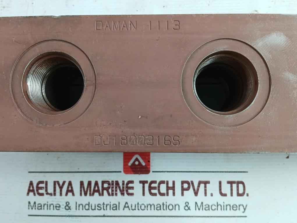 Daman Dj1800316S Manifold 3-station Ductile Iron Junction 30198304