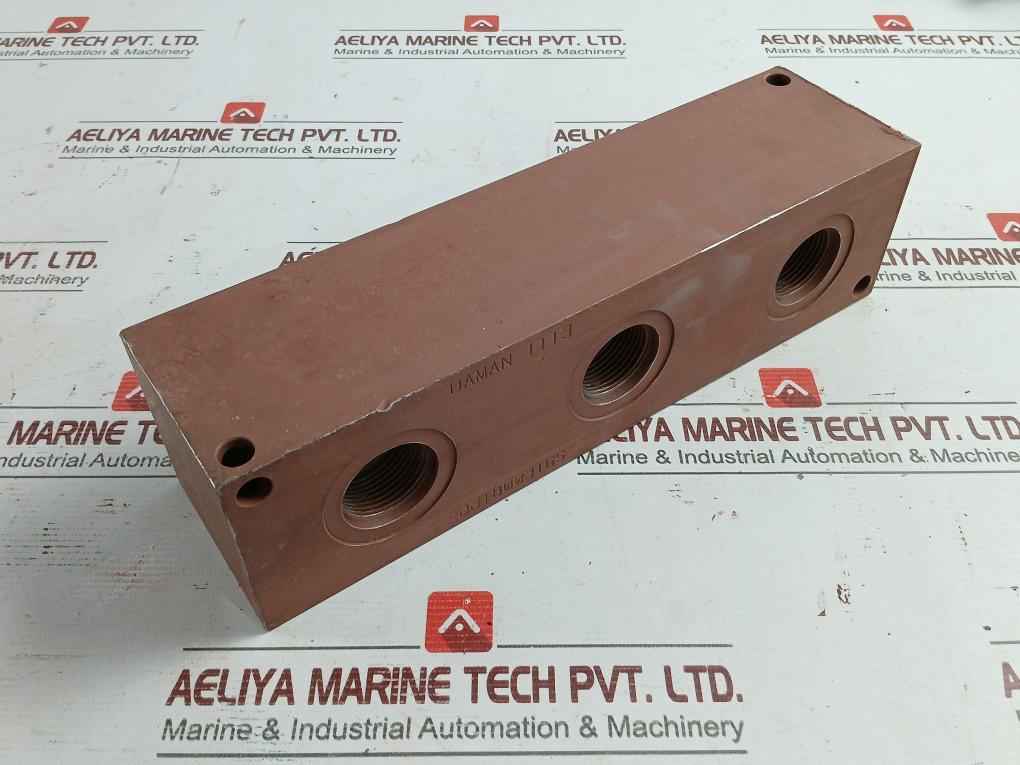 Daman Dj1800316S Manifold 3-station Ductile Iron Junction 30198304