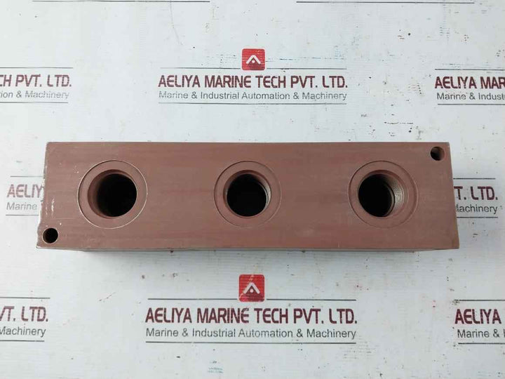 Daman Dj1800316S Manifold 3