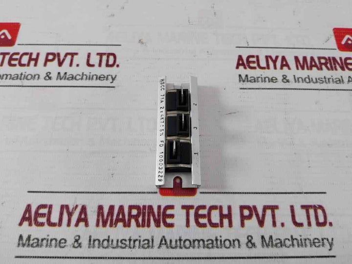 Danotherm Hscc 71A Power Resistor