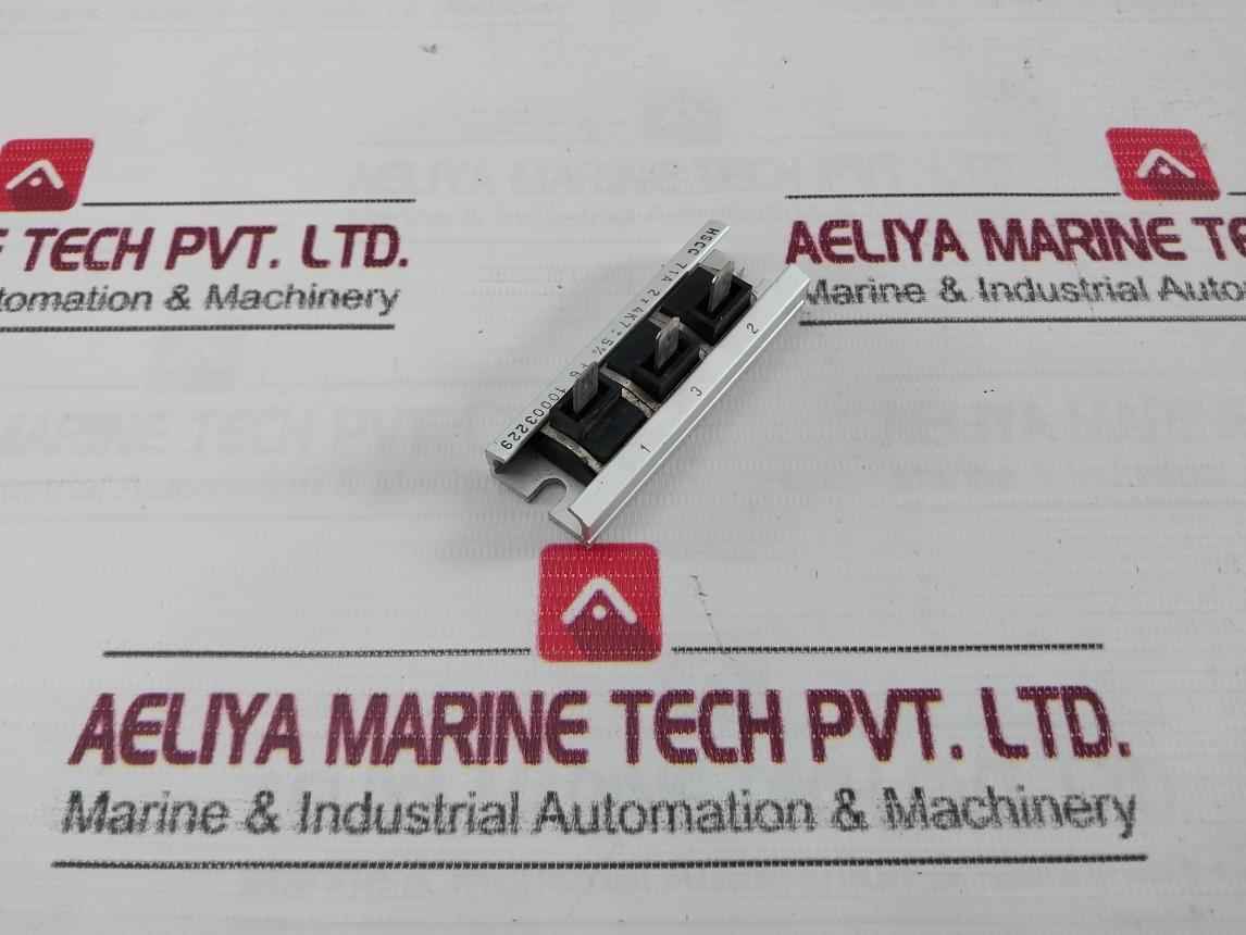 Danotherm Hscc 71A Power Resistors 10003229