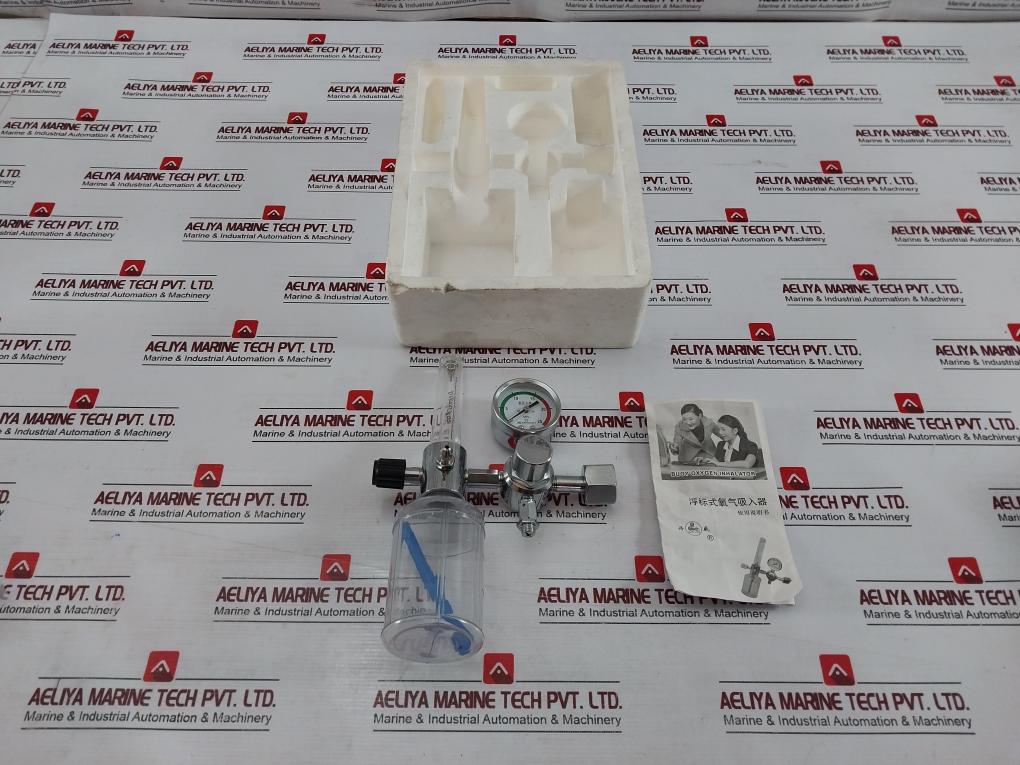 Danyang Danwei Xy-02A Gas Regulator Flowmeter With Humidifier Bottle 04820006