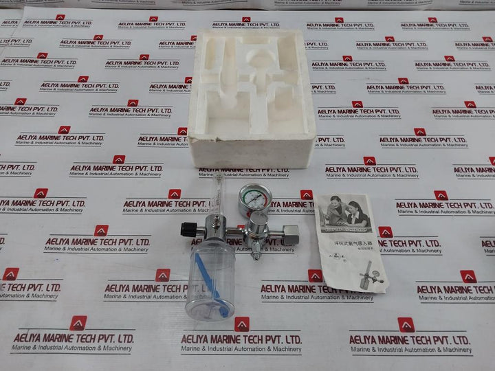 Danyang Danwei Xy-02A Gas Regulator Flowmeter With Humidifier Bottle 04820006