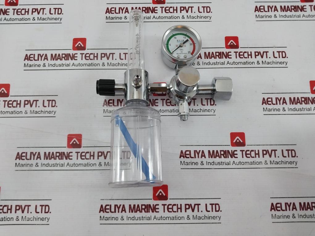 Danyang Danwei Xy-02A Gas Regulator Flowmeter With Humidifier Bottle 04820006