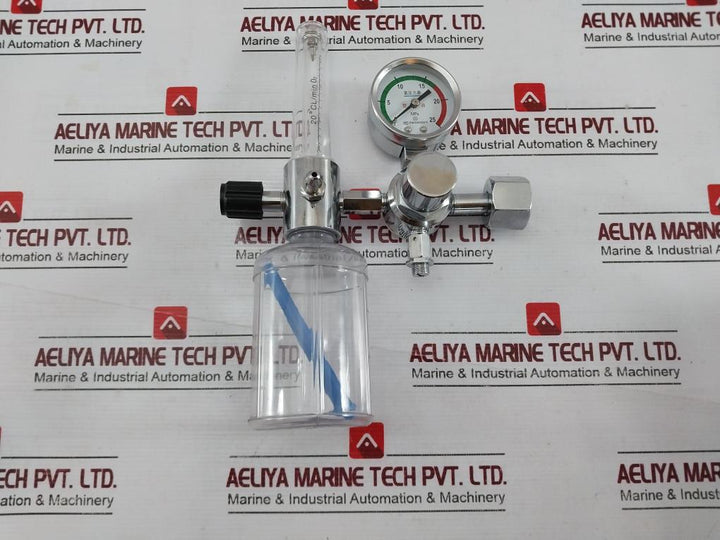 Danyang Danwei Xy-02A Gas Regulator Flowmeter With Humidifier Bottle 04820006