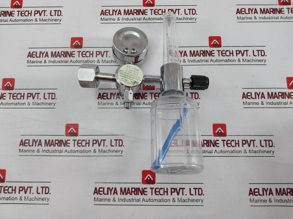 Danyang Danwei Xy-02A Gas Regulator Flowmeter With Humidifier Bottle 04820006