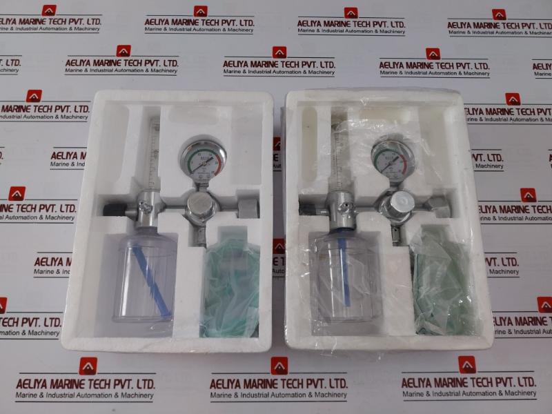 Danyang Danwei XY-02A Gas Regulator Flometer with Humidifier Bottle 110918306
