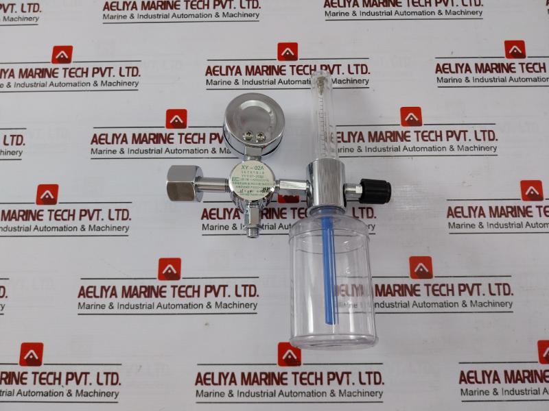 Danyang Danwei XY-02A Gas Regulator Flometer with Humidifier Bottle 110918306
